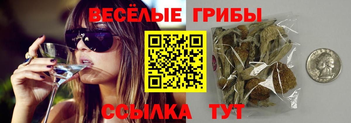 Псилоцибиновые грибы Psilocybine cubensis  Вход с VPN  Дивногорск 